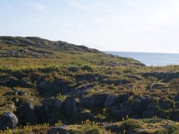 DSC01984
