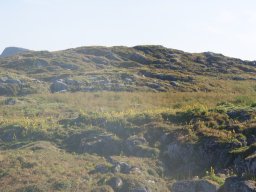 DSC01985