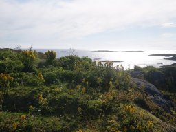 DSC01997