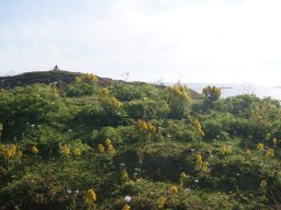 DSC01998