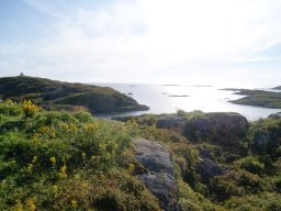 DSC02000