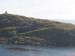 DSC02009