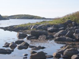 DSC02020