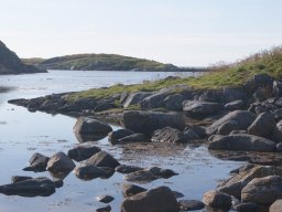 DSC02021