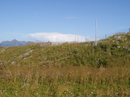 DSC02026