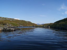 DSC02031