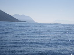 holmenvaer-7_7_20260923_1363867547