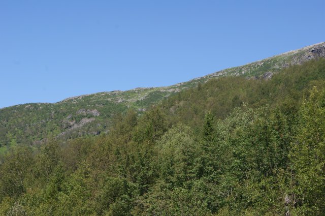 dsc02772
