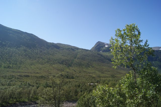 dsc02775