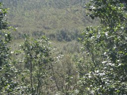 dsc02759