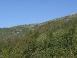 dsc02772