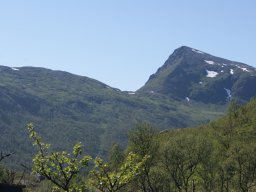 dsc02797