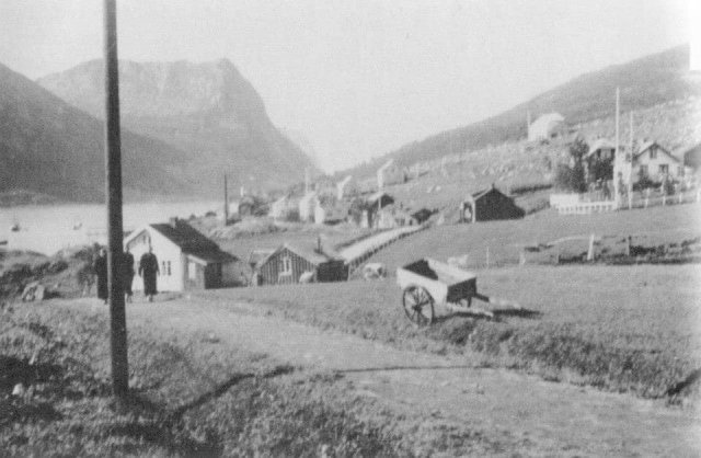 haugen