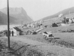 haugen