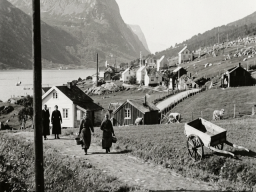haugen